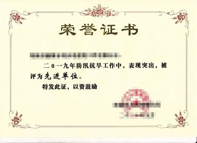 公司新型自动化生产线现场